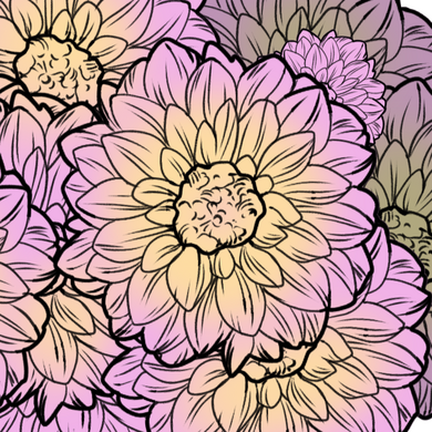 Dahlia Elegance &amp; Dignity