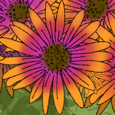 African Daisy Strength &amp; Innocence