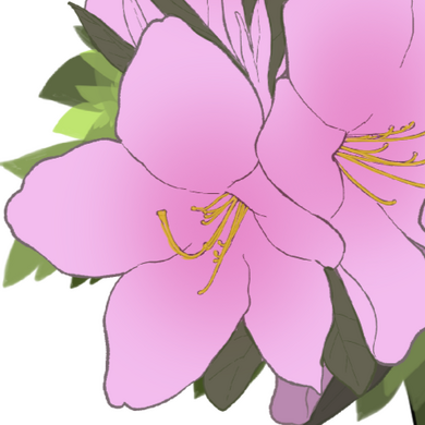 Azalea Purity &amp; Temperance