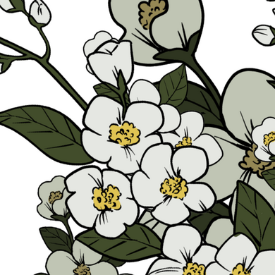 Jasmine Wealth &amp; Cheerfulness