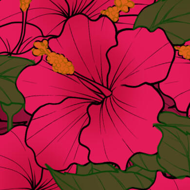 Hibiscus Beauty &amp; Peace